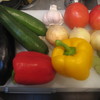 野菜集合！