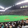 多田野選手のスローボール見たぞぉ！。