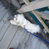 うひゃーと言わんばかりの愛ちゃん