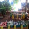 朝取り野菜