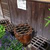 石見銀山のアート探し　～　2　～