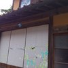 石見銀山のアート探し　～　5　～