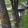 どしゃぶりのキャンプ場