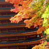談山神社の秋色その3
