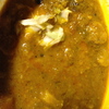 黄色いカレーですよ！！