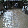 2012.8.19　松山大雨　51番石手寺にて～