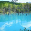 青い池（本文とは関係ありません）