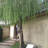 名所かなと思ったら、便所でした