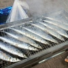 気仙沼の新鮮な秋刀魚をドンドン焼きます！