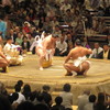 横綱土俵入り