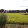 骨寺村