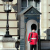 バッキンガム宮殿の衛兵さん