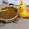 RODYとカレー