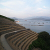 夕暮れの段畑