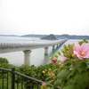 角島大橋です♪　天気がもう少し良かったらなぁ～♪