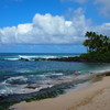 ノースショアの海岸