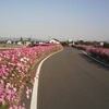バイクコースのよう♪