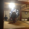 獅子だ〜