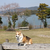 最近のFUN