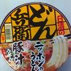 日清食品「どん兵衛豚汁うどん」(2012/10)