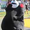 勝って余裕のくまモン