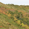 標高２，２００ｍで紅葉が始まったばかりです