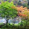 泳ぎ湯