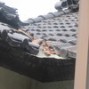 瓦もやられて