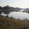 お気に入りの埼玉の川の風景