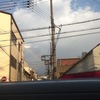 じっくり見れば、映ってる。