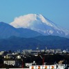 富士山とオレンジ色のモノレール