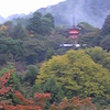 清水の舞台からの紅葉♠