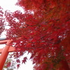 下賀茂神社