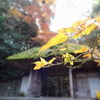 法然院