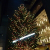 ミキモトパール前のクリスマスツリー☆
