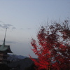 高台寺から