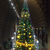 京都駅大階段のクリスマスツリー