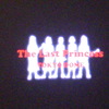 The Last Princess