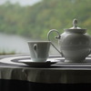 ここで飲む紅茶最高☆