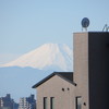 ベアー家から見える正月の富士山