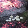 お供えのお餅を焼きます♪
