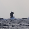 寒風と荒波に揉まれる　ローソク島