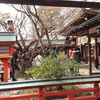 並んでらっしゃる・・・