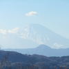 綺麗に富士山が見えました！