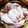 鶏モモ肉も