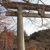 「縁結び」を前面にアピールする神社！