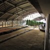 北淡震災記念館/野島断層
