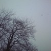 雪