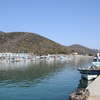 坂越漁港全景