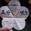 おみくじ（2013.3月）